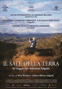 Il Sale della Terra (2015)